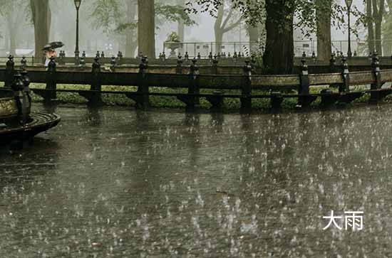 湘潭今日天气大雨转暴雨 2024年6月11日湘潭市天气预报