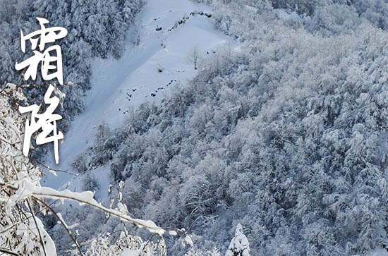 暖心的霜降祝福语