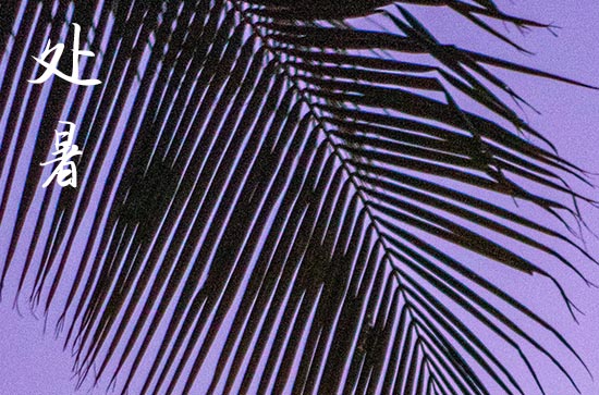 2024年处暑是什么时候时间 2024年处暑合寿木好不好