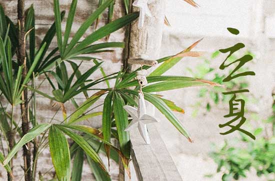 2024年立夏是哪一天 2024年5月5日立夏这天适合安碓磑吗 2024年立夏是哪一天 2024年5月5日立夏这天适合安碓磑吗