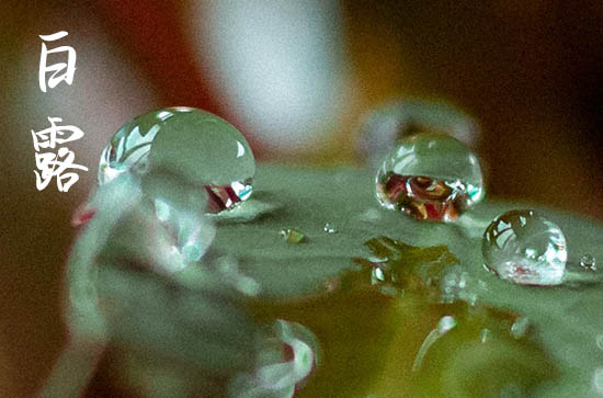 白露节气民俗 白露时节各地习俗