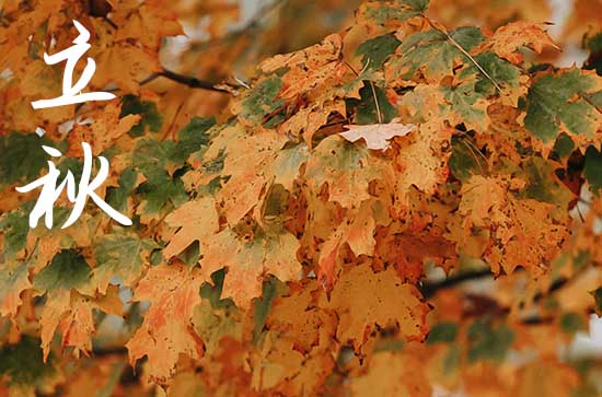 2024年8月7号几点钟立秋