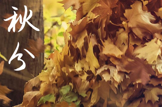 2024年秋分是几点几分 秋分农谚