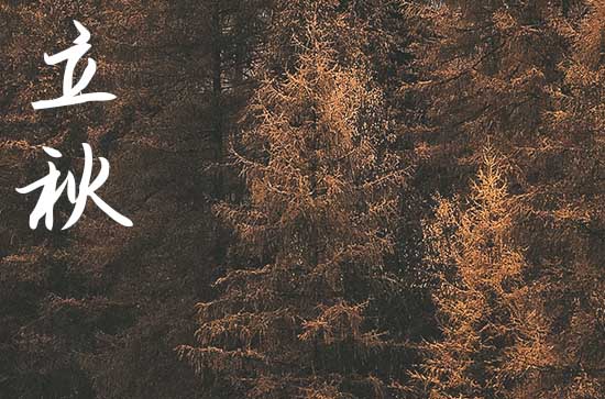 2024年立秋是多少号 2024立秋挖水井好吗