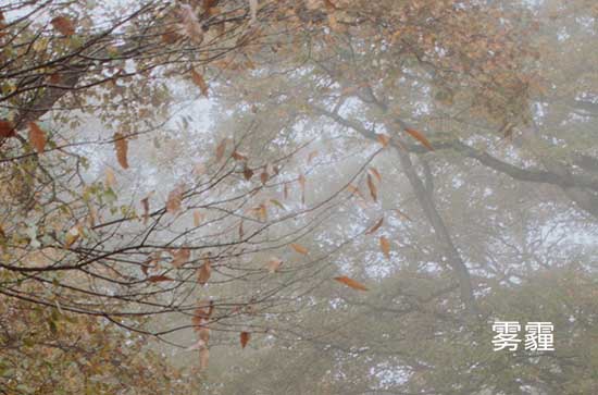 7月14日运城会下雨 今日雾转中雨温度31℃~24℃