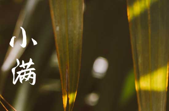 小满中的满是什么意思 小满中的满是什么意思