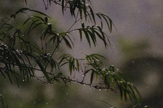 9月3日嘉兴会下雨 今日小雨转阴温度32℃~25℃