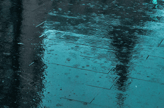 2024年今年谷雨是几月几号 2024年4月19日谷雨是纳财的黄道吉日吗 2024年今年谷雨是几月几号 2024年4月19日谷雨是纳财的黄道吉日吗
