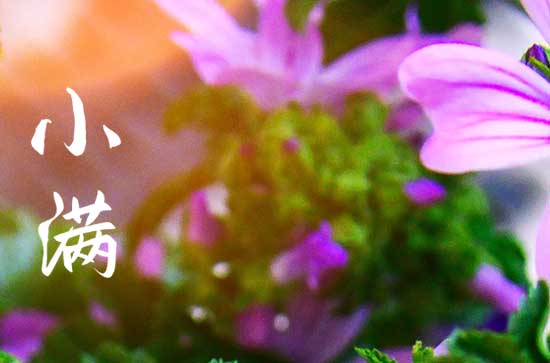 小满节气是指满月吗 关于小满节气的古诗有哪些
