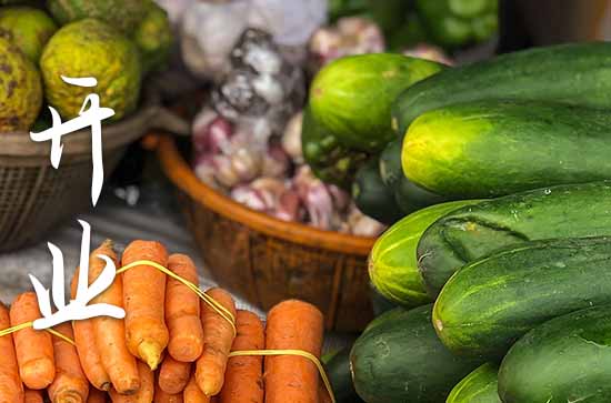 2024属狗农历十月店铺开张吉日一览表 2024年属狗农历十月最佳的店铺开张日子