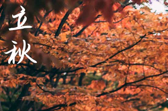 2024年立秋是几月几日 2024年8月7日立秋黄历