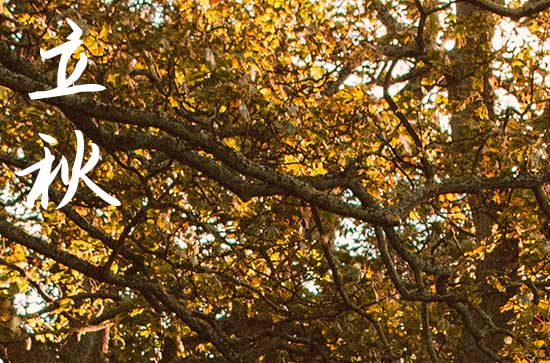 2024年立秋时间是什么时候 2024立秋是黄道吉日吗