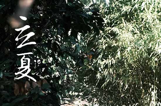 2024年立夏是几月几日 2024年立夏割蜜行不行