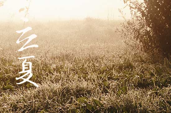 2024今天几点立夏