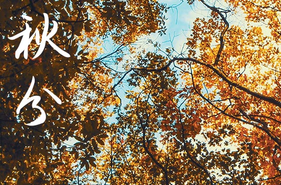 2024年秋分几月几日 2024秋分那天举办丧礼好不好