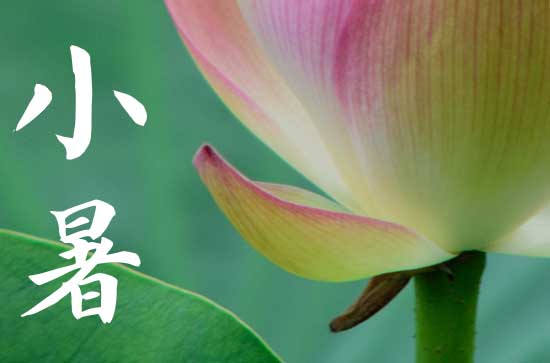 小暑节气的来历和风俗 小暑的禁忌