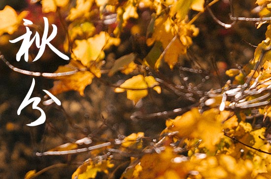 2024年秋分是什么时候 2024秋分这天可以习艺吗