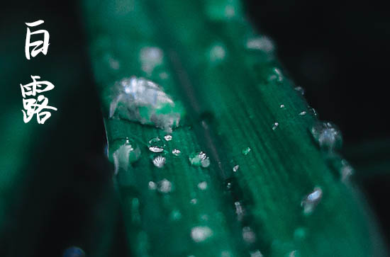 2024年白露是多少号 2024年9月7日是白露