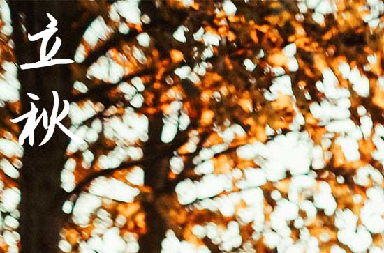 2024年立秋农历时间 2024年立秋是安装机器的好日子吗