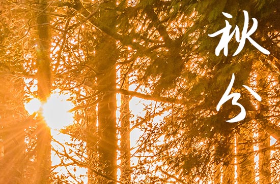 秋分节气祝福短信30句