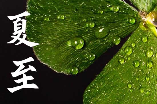 夏至节气的特点和风俗 夏至的俗语有哪些