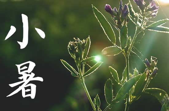 2024小暑是哪一天 2024小暑习艺好吗