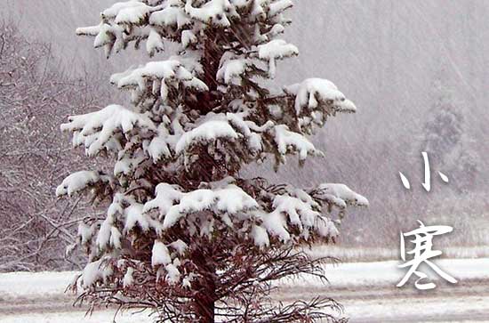 今年小寒是几月几日2024