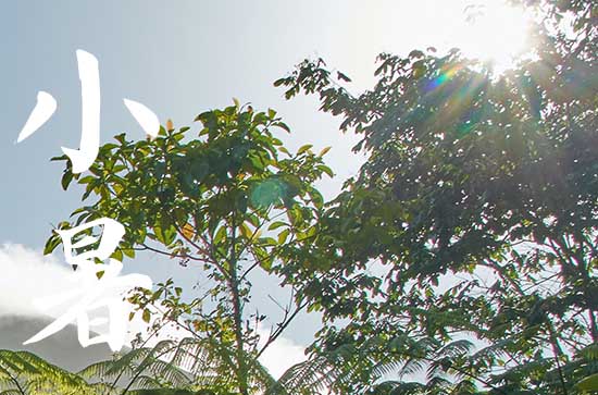 小暑是2024的几月几日 2024年7月6日是小暑