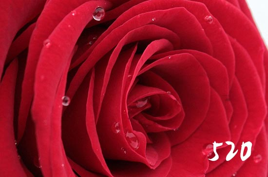 2025年5月20日网络情人节嫁娶可以吗 2025年5月20日网络情人节是嫁娶的黄道吉日吗