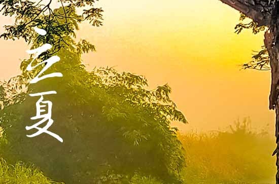 2024立夏是哪天 2024年5月5日立夏黄历