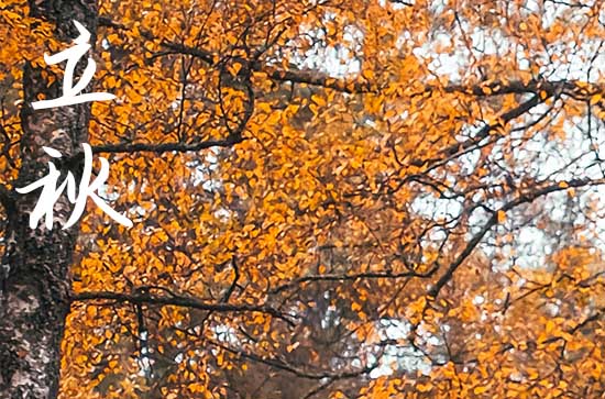 2024年立秋是星期几 2024年8月7日是立秋