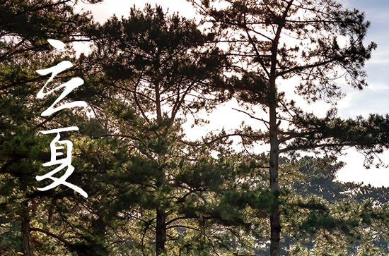 2024年立夏时间是什么时候 2024年5月5日立夏黄历