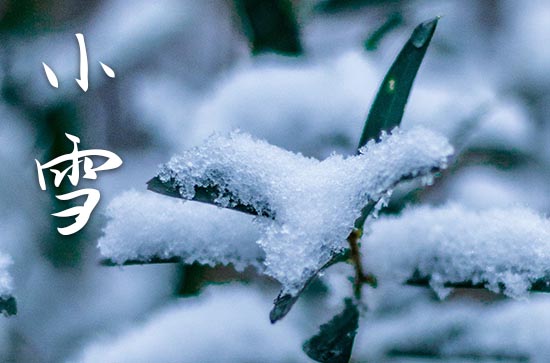 2023年小雪节气是哪天