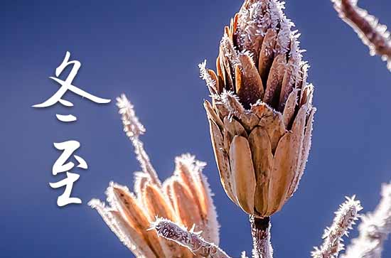 204年冬至吃什么食物?