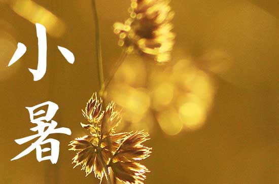 2024年小暑是哪一天 2024年小暑出殡好不好