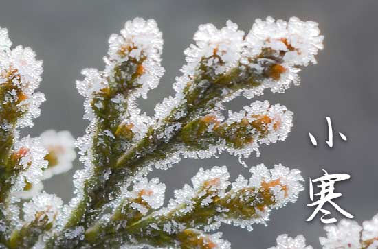 2024年小寒这天能做什么 2024小寒节气有什么习俗风俗