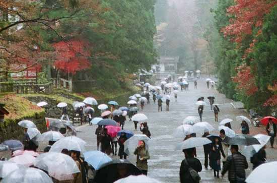 11月6日保山会下雨 今日小雨转中雨温度19℃~11℃