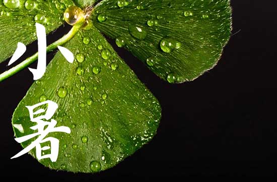 2024年小暑是入伏第一天吗