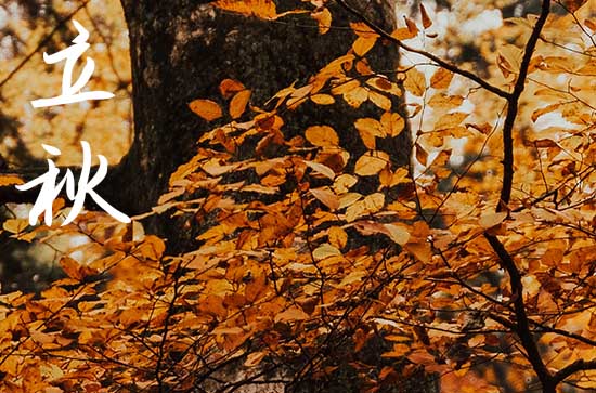 2024年立秋是几月几日 2024年8月7日立秋安机械适合吗