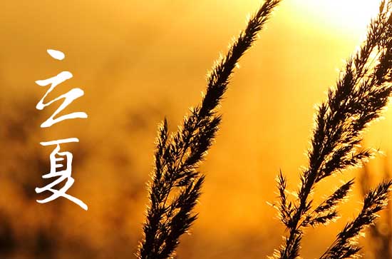 2024年立夏吃什么食物?