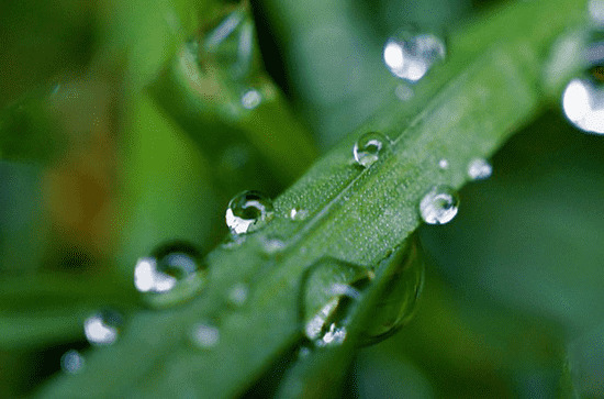 2023年梅雨季节起止日期