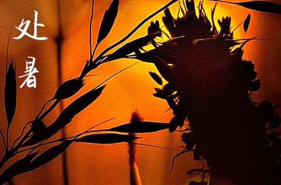 2024处暑是农历哪一天 2024年处暑盖楼好不好