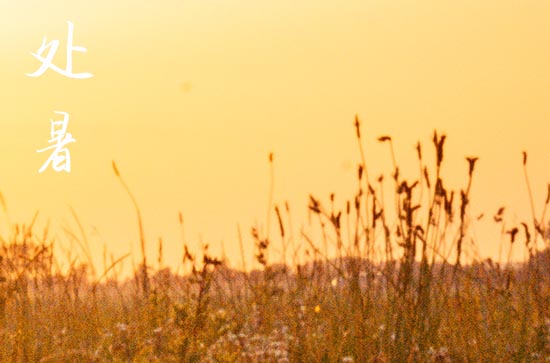 处暑是几月几号2024年 2024年处暑弄养鱼好不好
