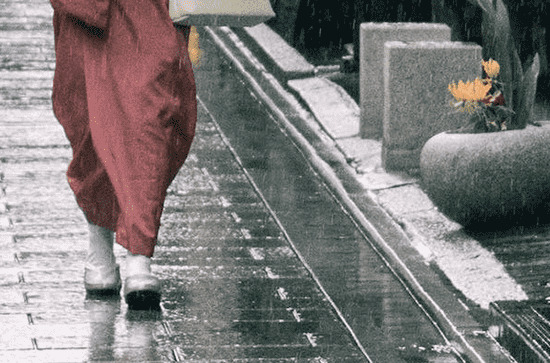 谷雨是2024的几月几日 2024年4月19日谷雨当天训牛好吗