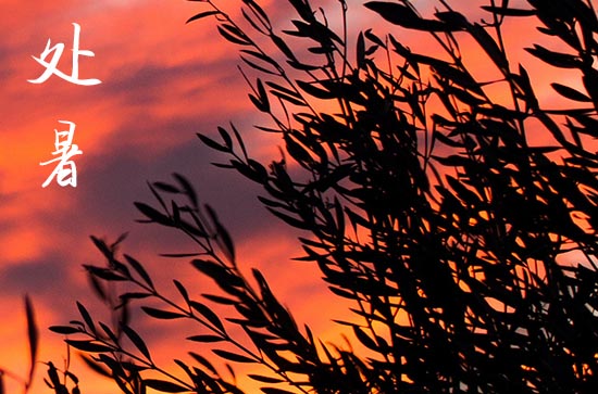 2024年处暑是几点几分几秒 2024年处暑适合开生坟吗