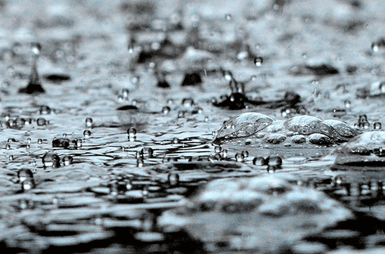 2024年谷雨几月几日 2024年4月19日谷雨当天立券好吗