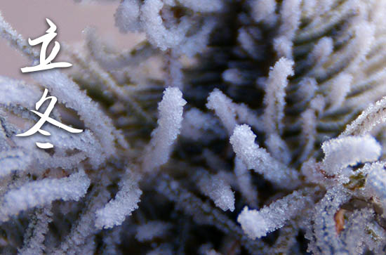 立冬是几月几号2023年 2023年立冬领证行不行