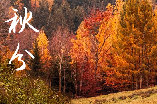 2024年秋分是几点几分几秒 2024年秋分可以出丧吗