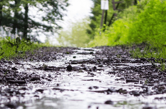 今年谷雨是几月几号2024