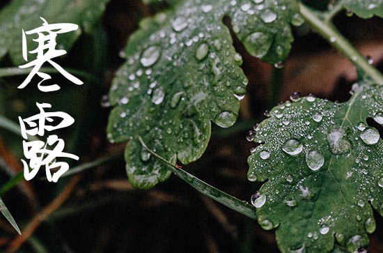 温馨寒露祝福语